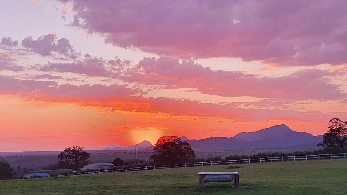 Outeniqua Moon Percheron Stud Farm Ruiterbos Extérieur photo