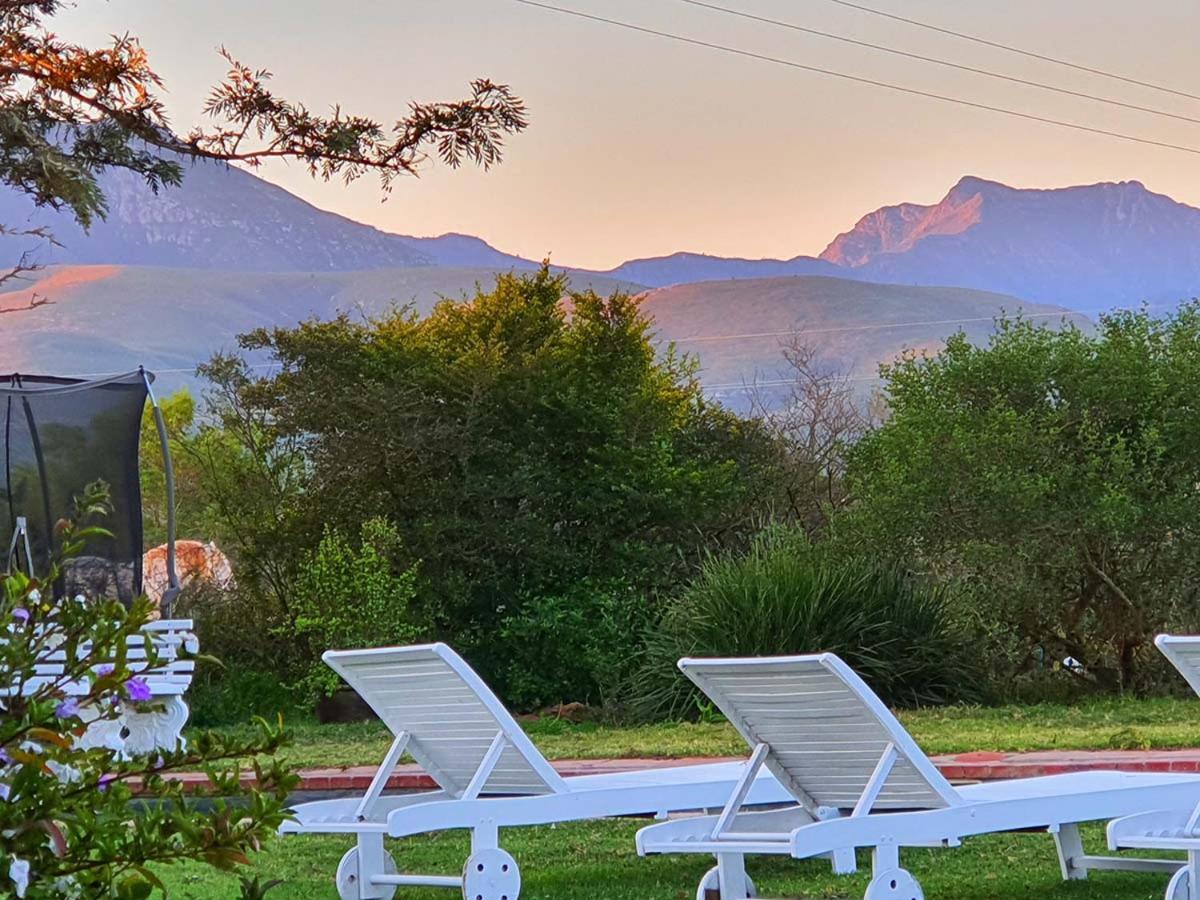 Outeniqua Moon Percheron Stud Farm Ruiterbos Extérieur photo