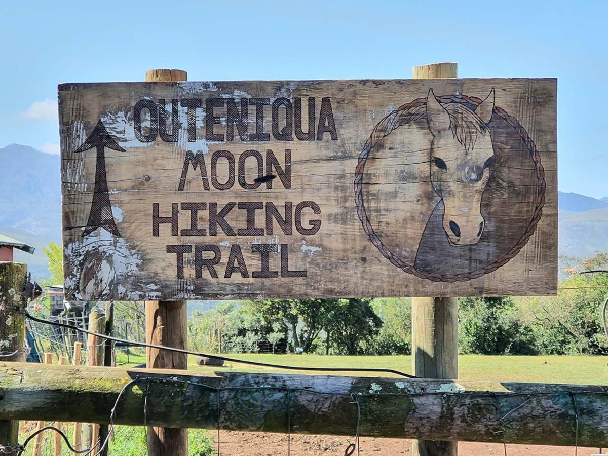 Outeniqua Moon Percheron Stud Farm Ruiterbos Extérieur photo