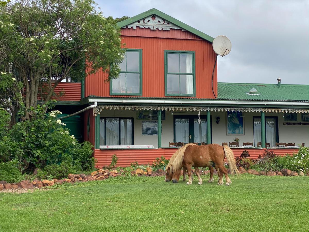Outeniqua Moon Percheron Stud Farm Ruiterbos Extérieur photo