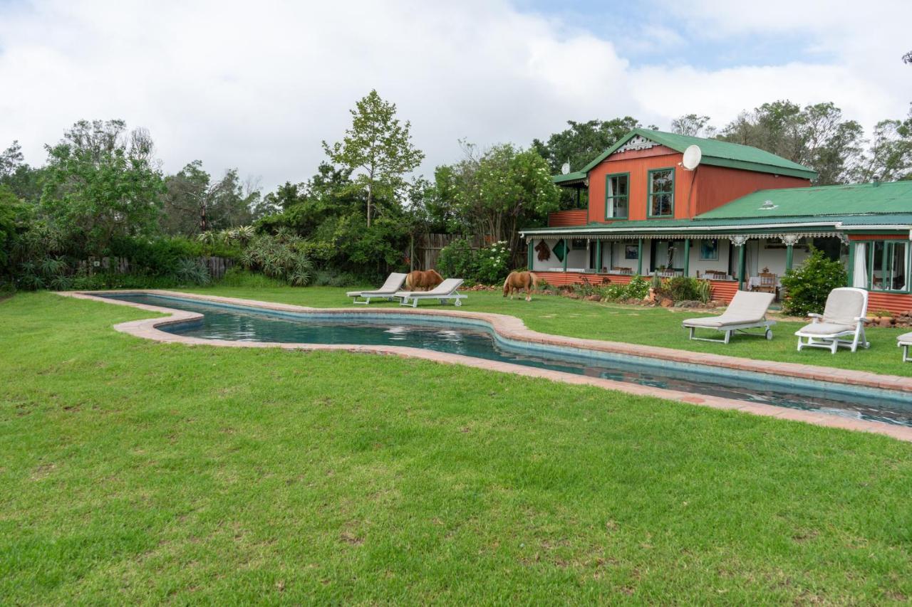 Outeniqua Moon Percheron Stud Farm Ruiterbos Extérieur photo